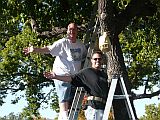 Chris and David helping decorate the tree
