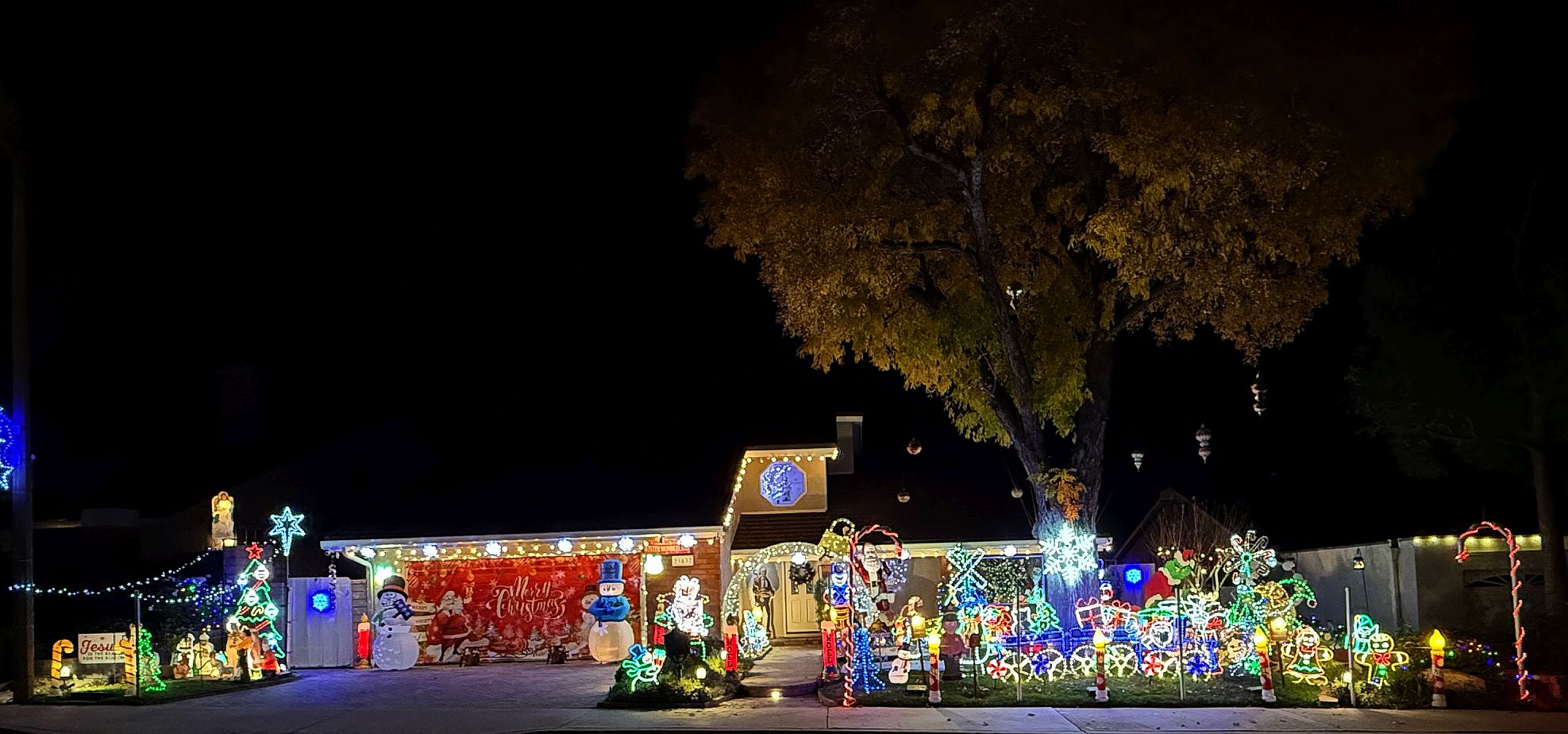 norton's winter wonderland - 2025